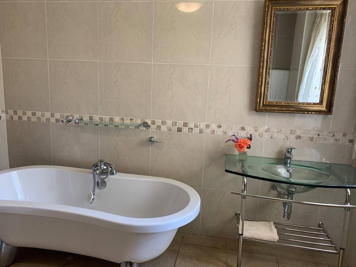 Mountain Rose Guesthouse لويس تريشارد المظهر الخارجي الصورة