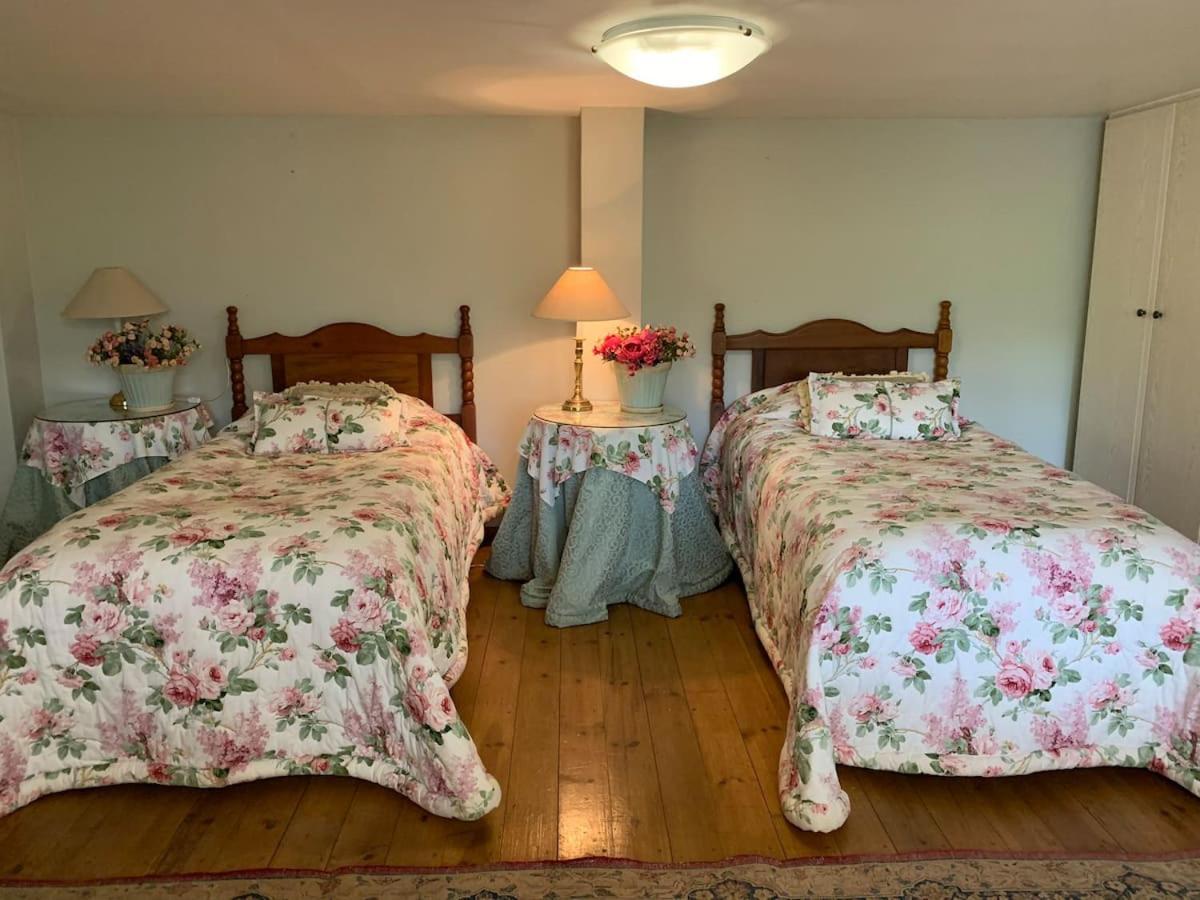 Mountain Rose Guesthouse لويس تريشارد المظهر الخارجي الصورة