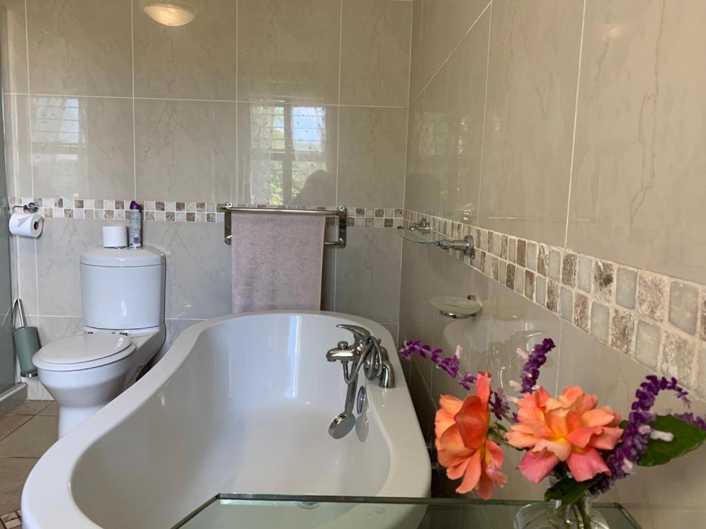 Mountain Rose Guesthouse لويس تريشارد المظهر الخارجي الصورة